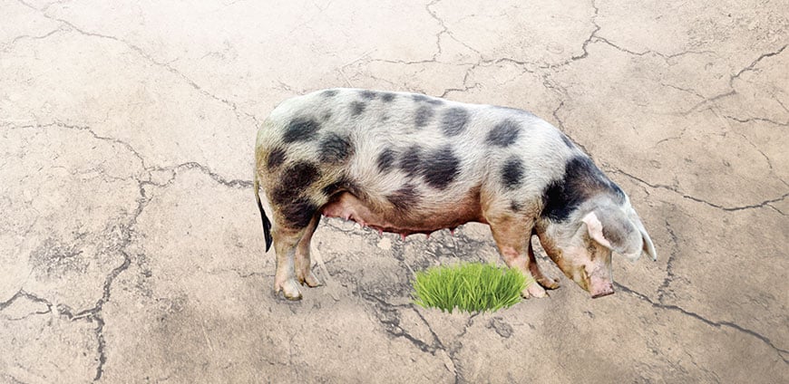 199-altabergut-slider-2