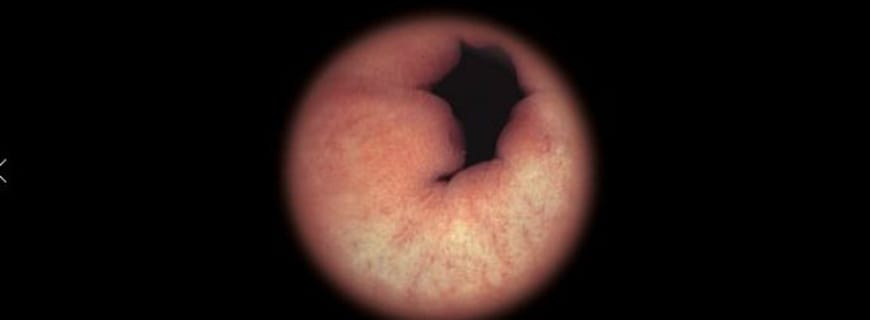 British-Museum-of-Food-Schokolade