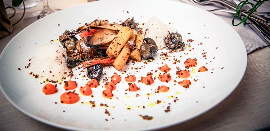 MG_8825-als-Smartobjekt-1-Kopie-slider