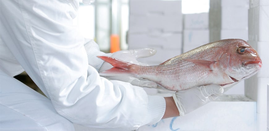 RP220_PR_Metro_Slider4