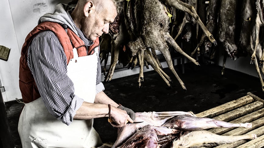 Wild-Jagd-Schloss-Gartow_8