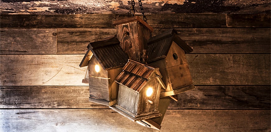 absurd-bird-04-slider