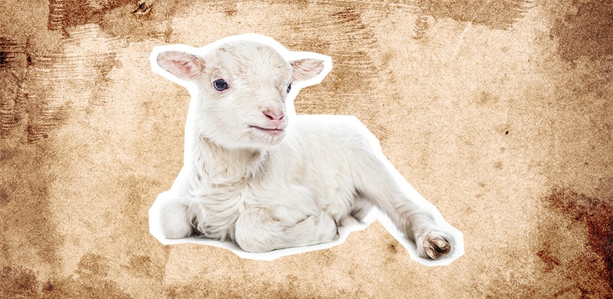 babynahrung-01-slider