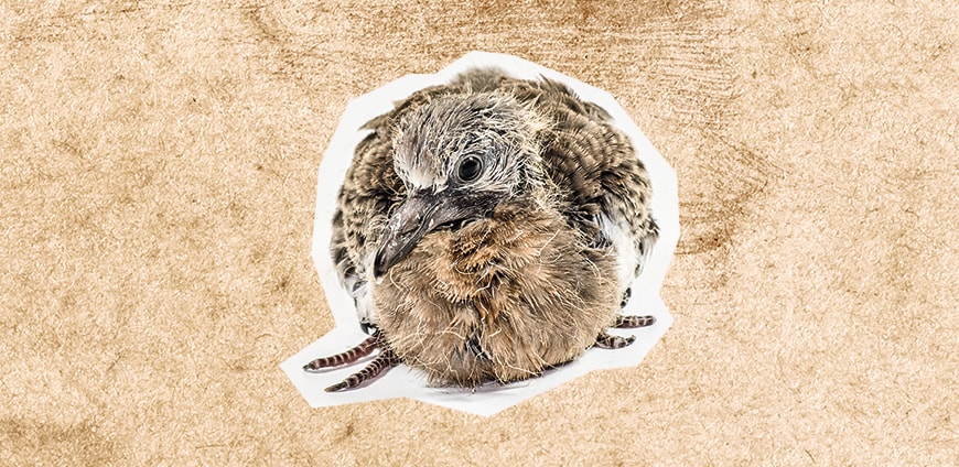 babynahrung-04-slider