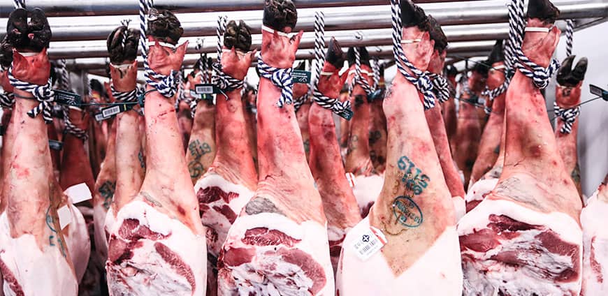 e19A4093-1-cmyk-slider