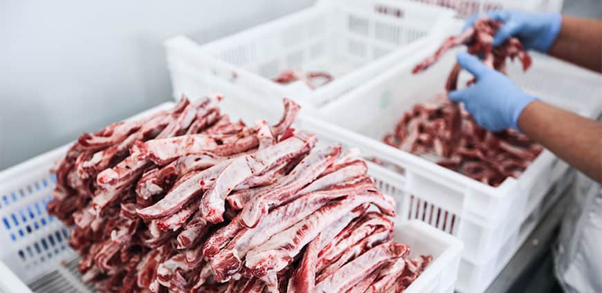 e19A4284-1-cmyk-slider