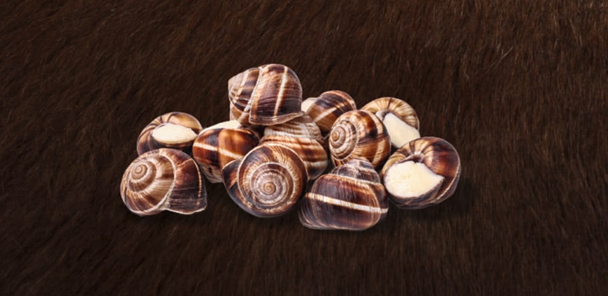 grosses-comeback-04-slider