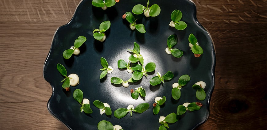 kresse-food-01-slider