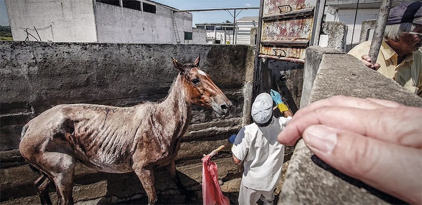 muskelbulle-interview-01-slider