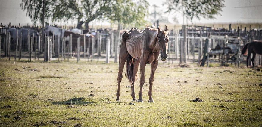 muskelbulle-interview-02-slider
