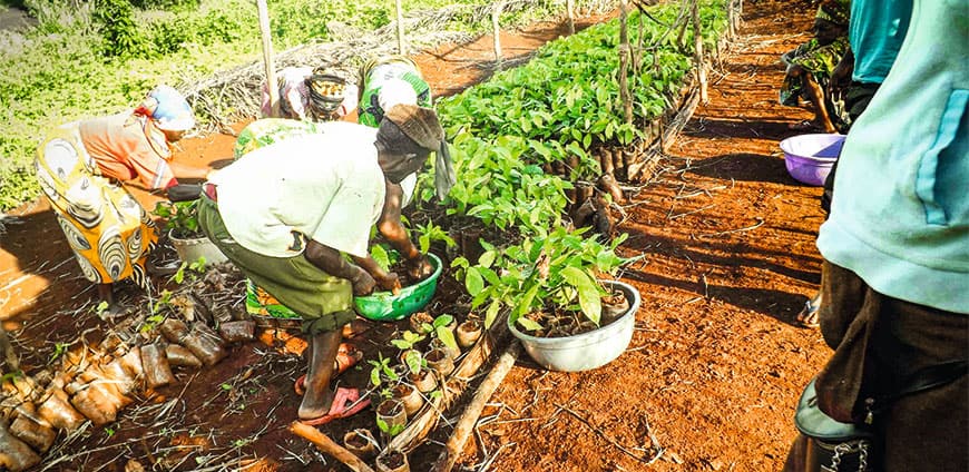 original-beans-06-slider