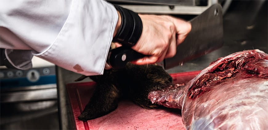 reh-zerlegen-04-slider