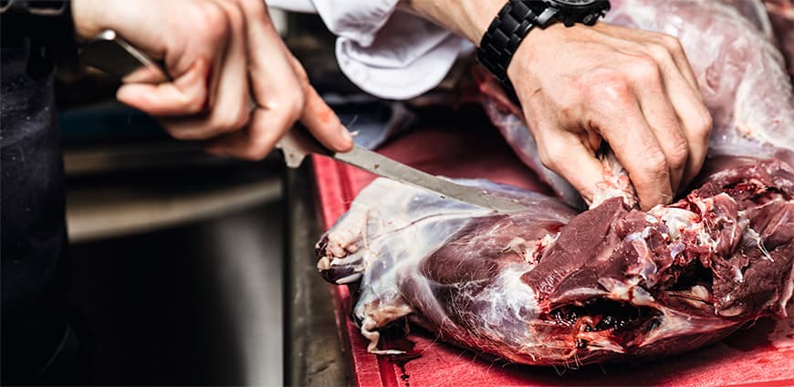 reh-zerlegen-05-slider