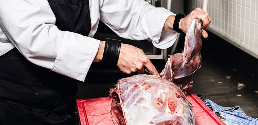 reh-zerlegen-07-slider