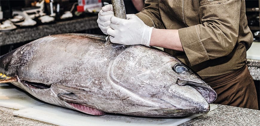 rp201-fisch-02-slider