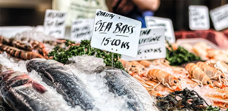 rp201-fisch-09-slider