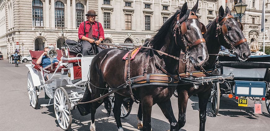 rp205-inspiration-riding-slider-4