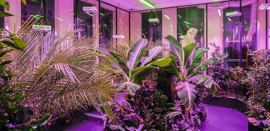 rp206-bompas-parr-08-slider