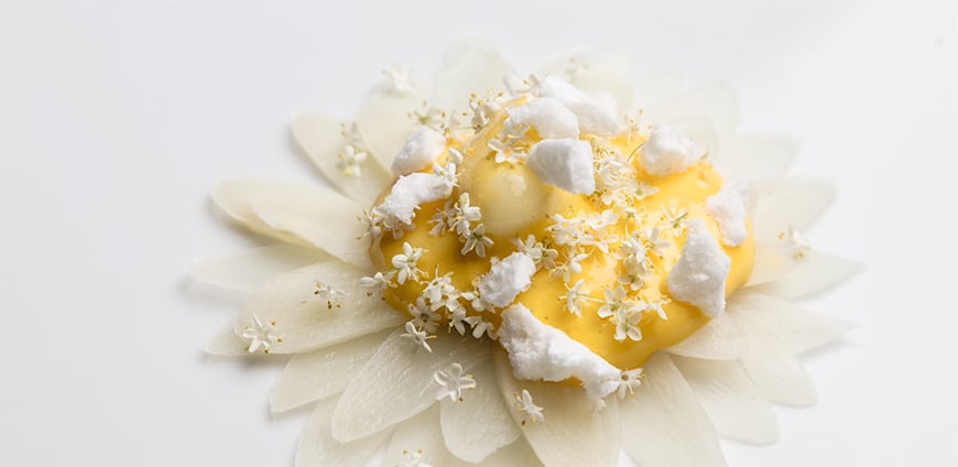 rp206-bottura-01-slider