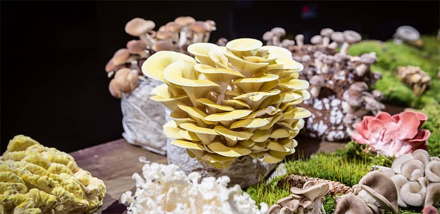 rp207-cd-reitbauer-03-slider