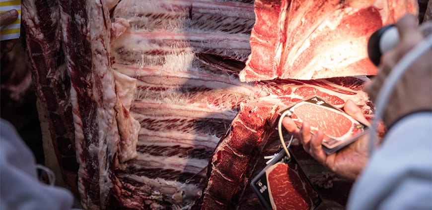 rp207-fleisch-01-slider