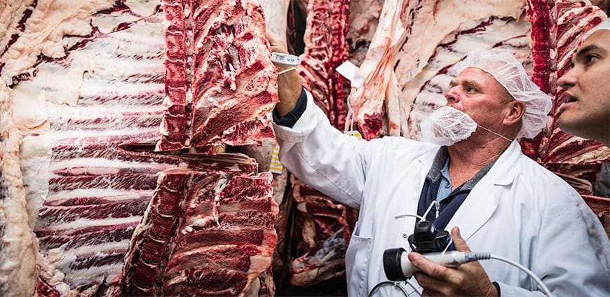 rp207-fleisch-04-slider