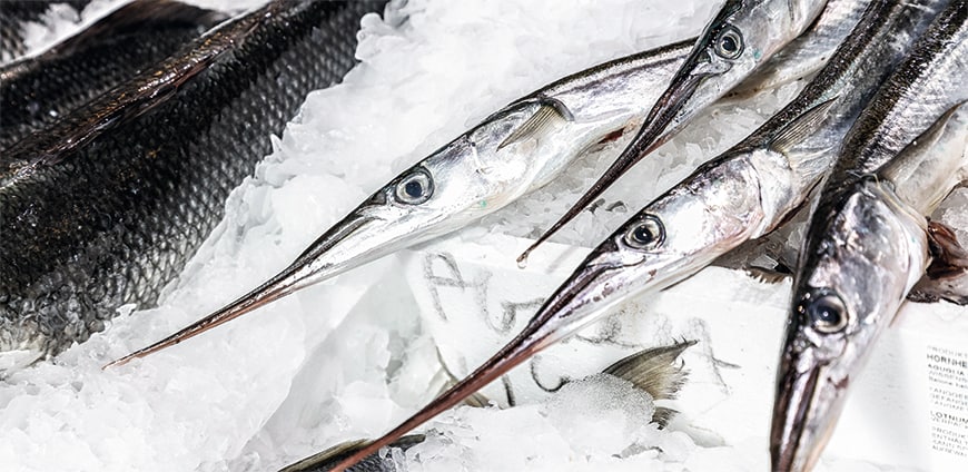 rp208-metro-02-slider