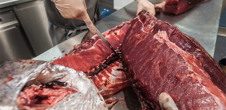 rp208-tuna-03-slider