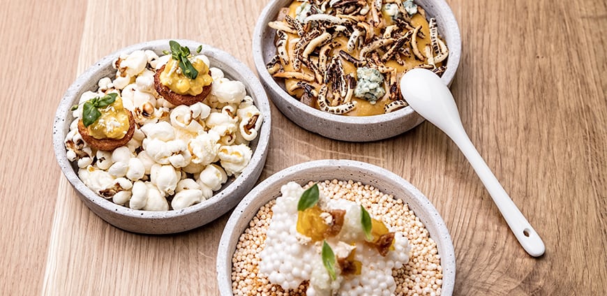 rp208-zinter-04-slider