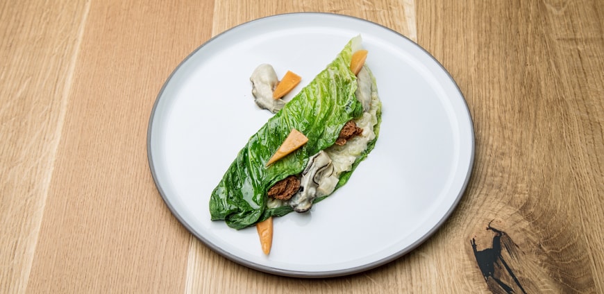 rp208-zinter-06-slider