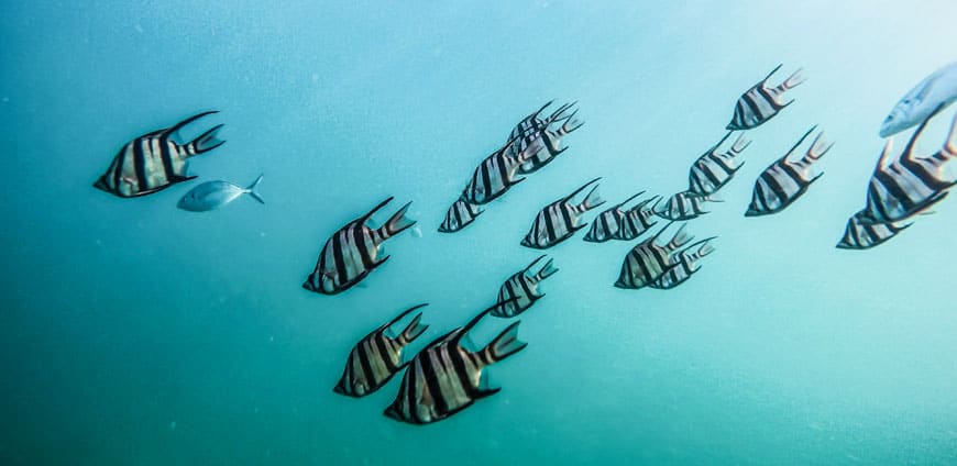 rp209-aischiffe-slider8