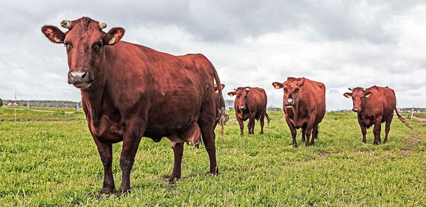 rp209-prmetro-slider4