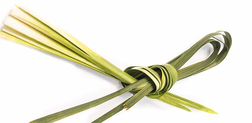 rp210-bonetto-02-slider