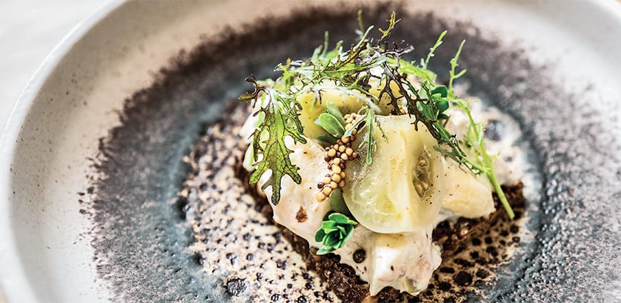 rp210-kompasset-01-slider