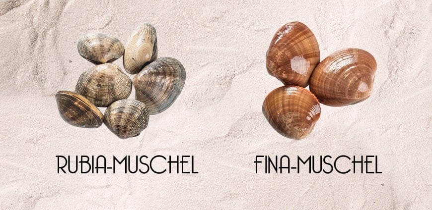 rp214-elhans-slider6