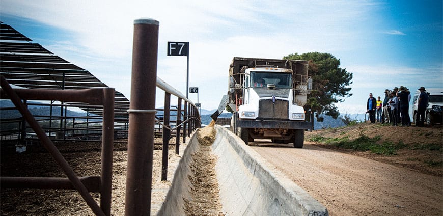 rp214-feedinglots-slider10