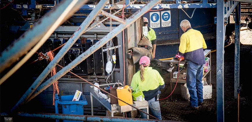 rp214-feedinglots-slider4