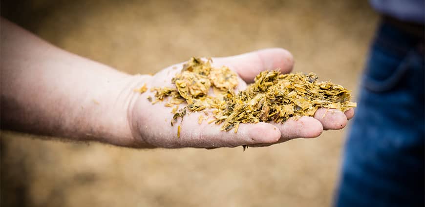 rp214-feedinglots-slider9