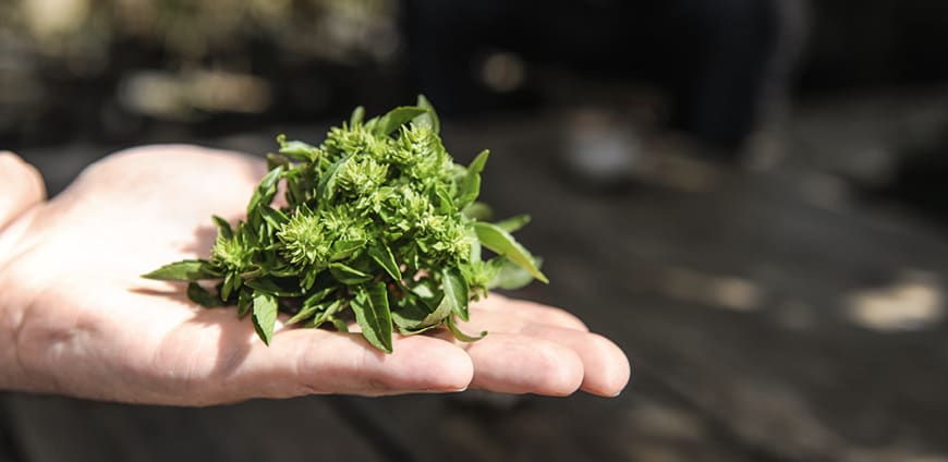 rp214_foodhunting_slider_7