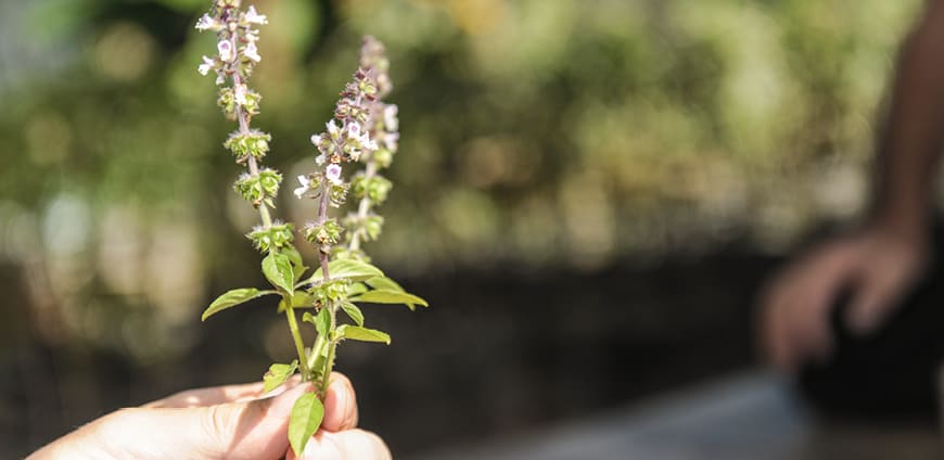 rp214_foodhunting_slider_9