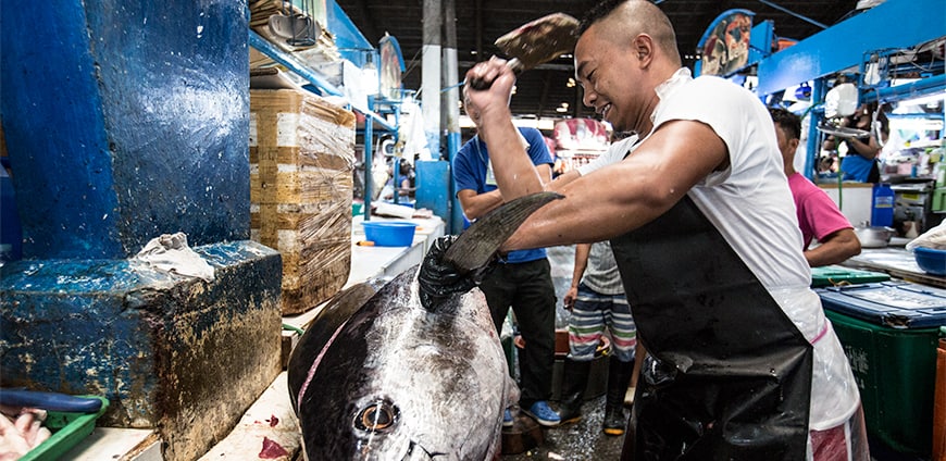 rp215-chele-gonzales-slider-2