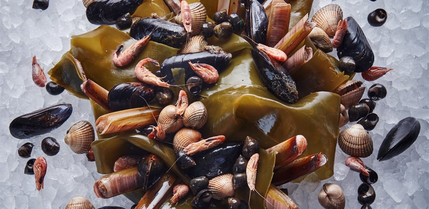 rp222_Hangar7_King_slider4