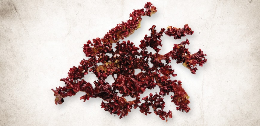 rp222_collagene_slider6