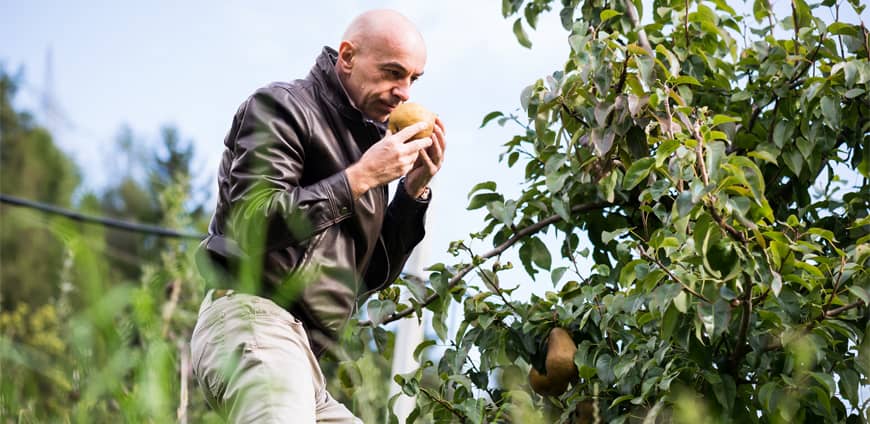 rp223_gerhard_wieser_slider5