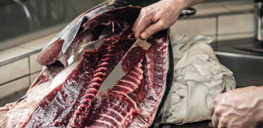 rp224_fandb_la_perla_slider2