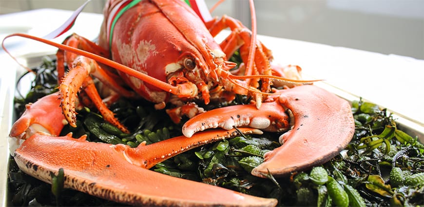 rp226_helgoland_slider4