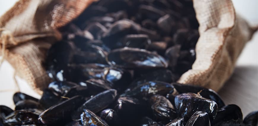 rp228-hangar-7-slider-6