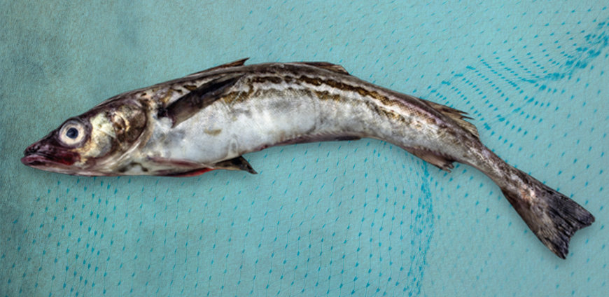 rp228-nils-egtermeyer-slider-8