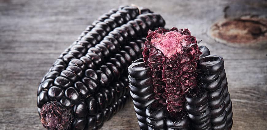 suedamerika-10-slider