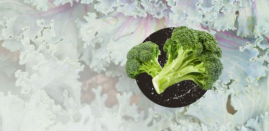 wintergemuese-01-slider